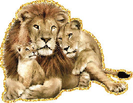 Gif animé lion lionne lionceau